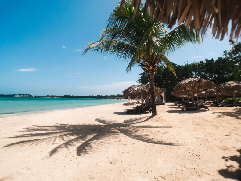 Optimized-Beach-with-palm-tree